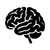 ALPHA GPC + L-TYROSINE