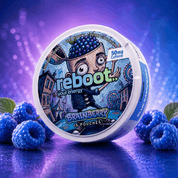 Brainberry Energy Pouches