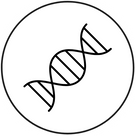 CELLULAR HYRDRATION