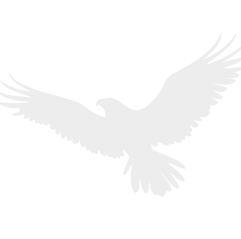 eagle-bird_17839207_1.png